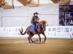 6 show ACCR 2024 - IANNETTA ANDREA & WELLEING LITTLE JACK score 71,5