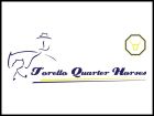 Torello Quarter Horses