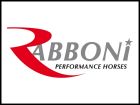 Rabboni Performance Horses