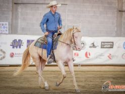 5 show ACCR 2024 - DI FEDERICO DARIO & SHINE N DRY TOO score 67,5