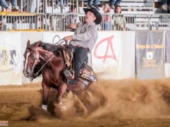 Golden Circle 2024 - MASTROIANNI MARCO & MARGARITA SPARK score 214