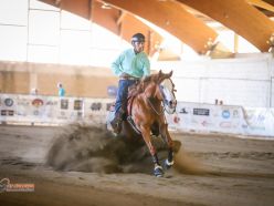 4 show ACCR 2024 - MATERIALE GIACOMO & CH DOCS A GUN score 71,5