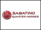 Sabatino Quarter Horses