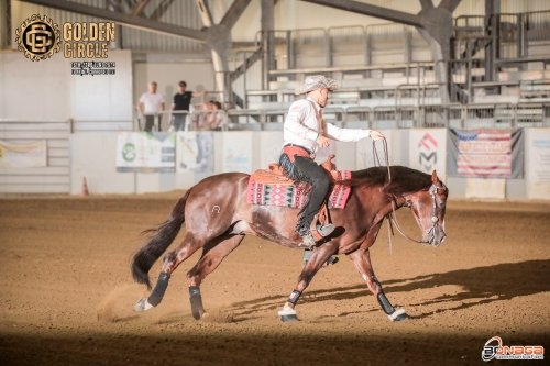 Golden Circle 2024 - DE IULIO VITTORIO &amp; MR MAGIC CHEX score 219,5