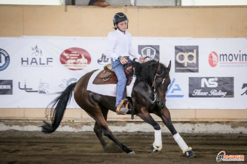 3 show ACCR 2023 - CERILLI PIER GIOVANNI &amp; CRICKET ROOST score 69