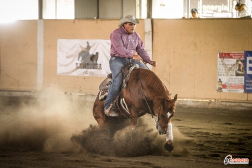 3 show CRHA 2022 - MOLLICONE PIERLUIGI &amp; WELLEING LITTLE JACK score 140,5