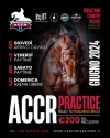 ACCR Practice: road to Golden Circle 2024!