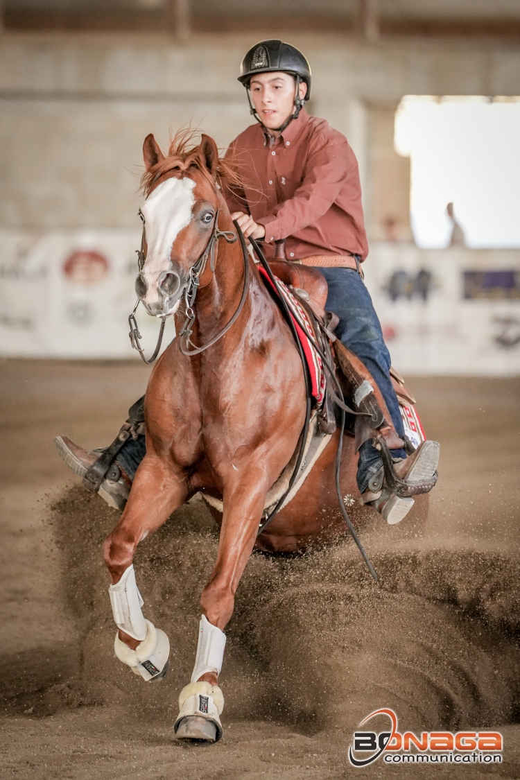 5 show ACCR 2024 - MATERIALE GIACOMO &amp; CH DOCS A GUN score 71