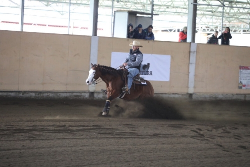 1 show CRHA 2022 - DOSSETTO LUCA &amp; LADY GOTTA STYLE score 69,5