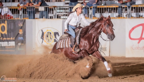 Golden Circle 2024 - SHIVJI IRENE &amp; RS HARRIER JACK score 70,5