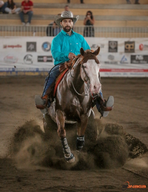 4 show ACCR 2023 - PELLERANO ALESSANDRO &amp; FD GUNNIT WHIZ score 68,5